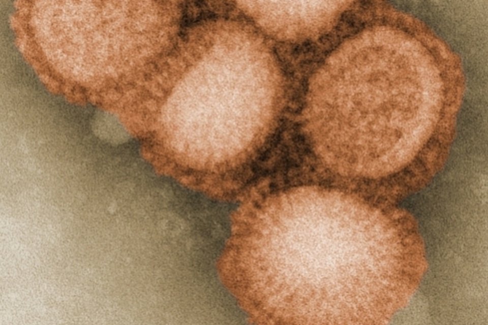 Pesquisadores temem pandemia de gripe na China e na Índia