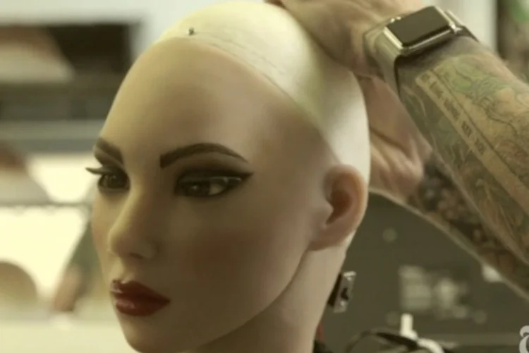 realdoll (Reprodução / The New York Times)
