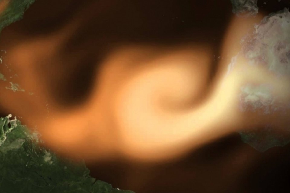 Nasa descobre como a areia do Saara fertiliza a floresta Amazônica