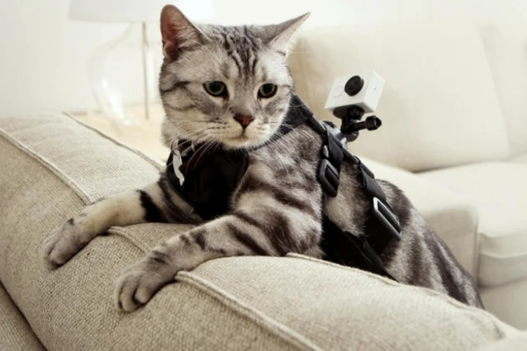 yi action camera (Divulgação)