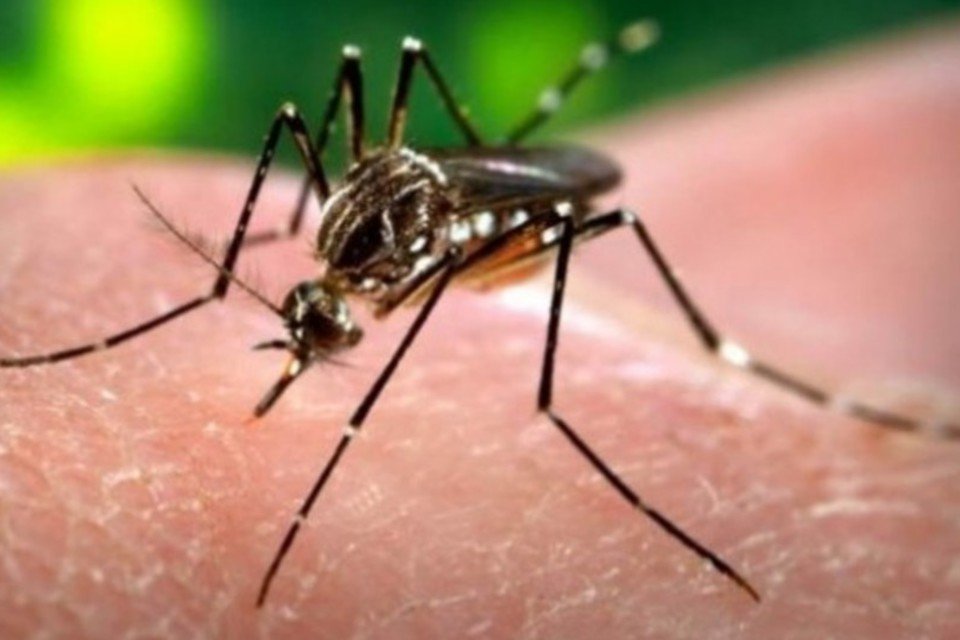 Excesso de procura volta a dificultar instalação de 'tenda da dengue' em SP