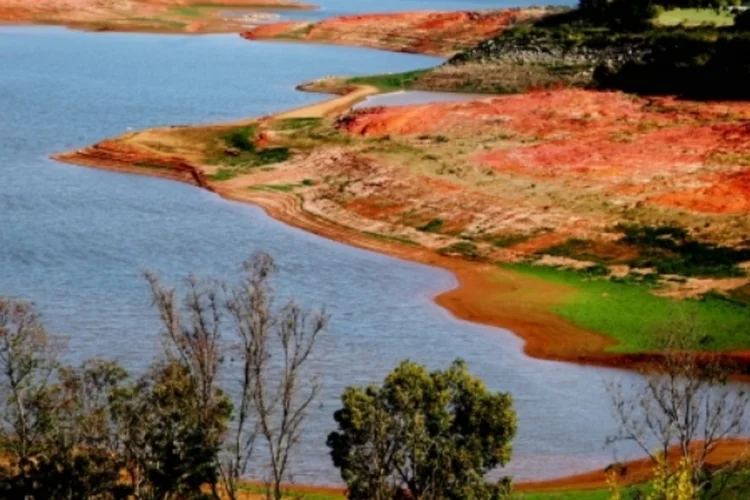 Cantareira (Fernanda Carvalho/ Fotos Públicas)