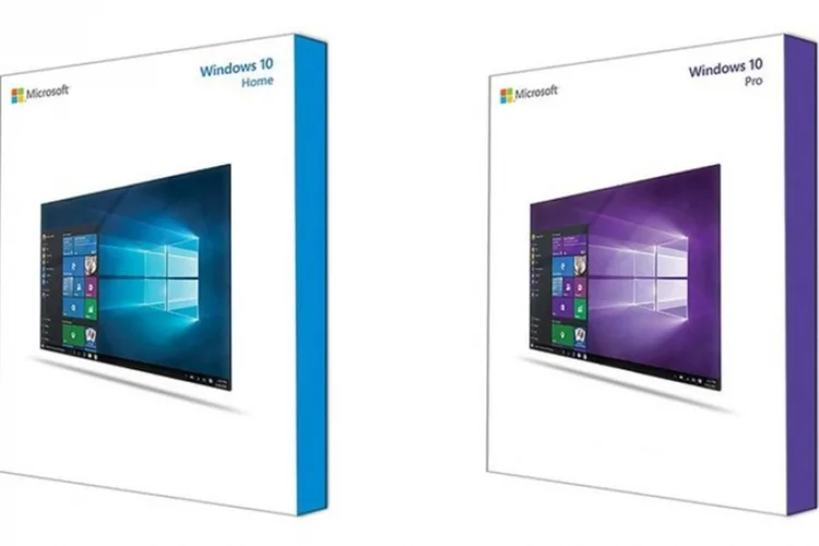 windows 10 (Reprodução)