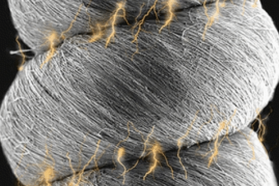 Cientistas criam nanofibra mais resistente do que o kevlar