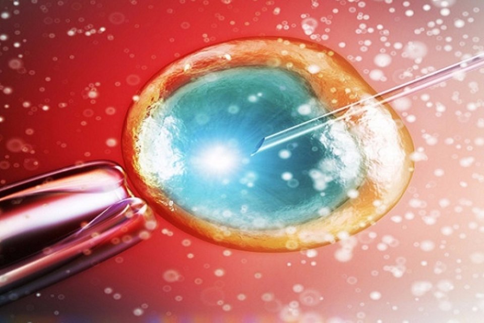 Nasce o primeiro bebê gerado com nova técnica fertilização a partir de células-tronco