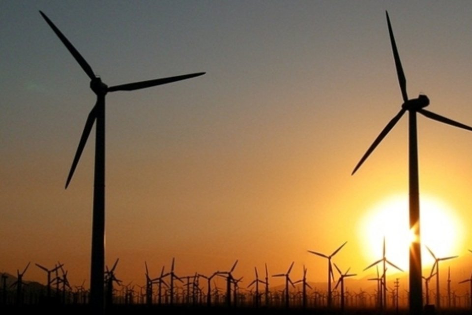 Amazon anuncia novo parque de produção de energia eólica