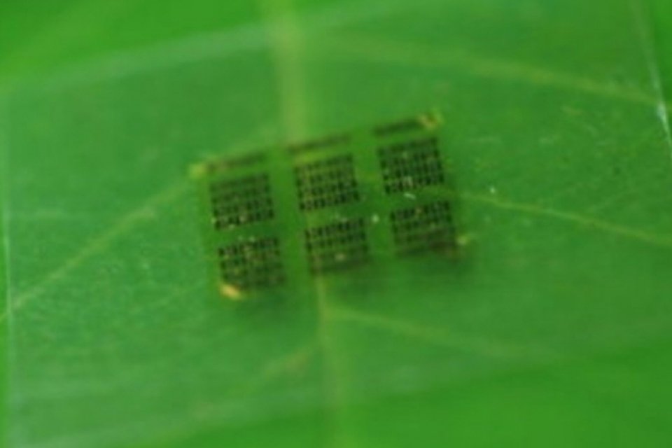 "Chip verde" promete marcar início da indústria de componentes eletrônicos biodegradáveis