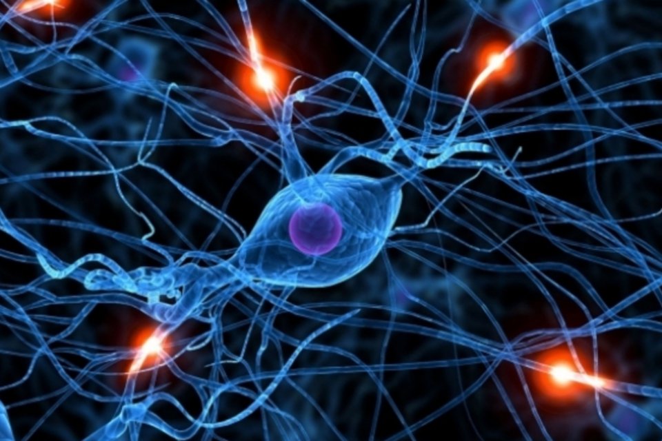 Cientistas descobrem neurônios que funcionam como "velocímetro cerebral"