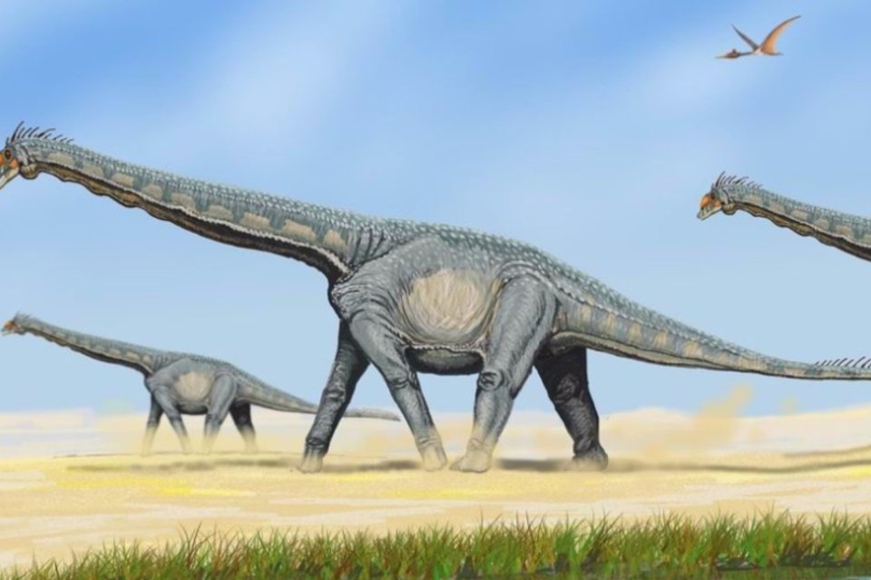 Algumas espécies de saurópodes podiam atingir mais de 30 metros de comprimento (Wikimedia Commons/Wikimedia Commons)