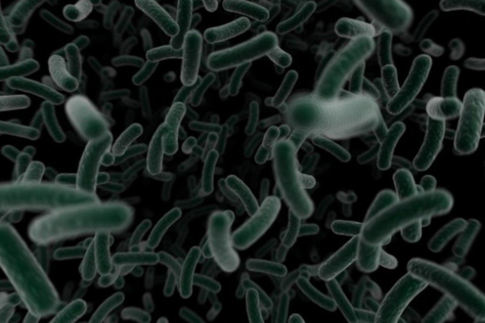 Microbioma pode ser nova impressão digital da medicina forense