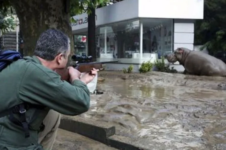 reuters_2015-06-14T122934Z_1006940001_LYNXMPEB5D0AA_RTROPTP_2_MUNDO-GEORGIA-ANIMAIS-INUNDACOES.JPG