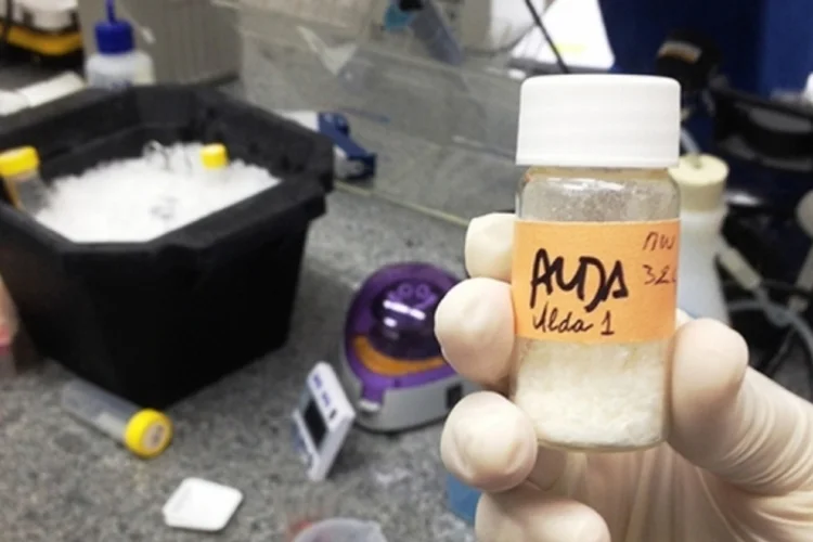 ALDA (Divulgação)