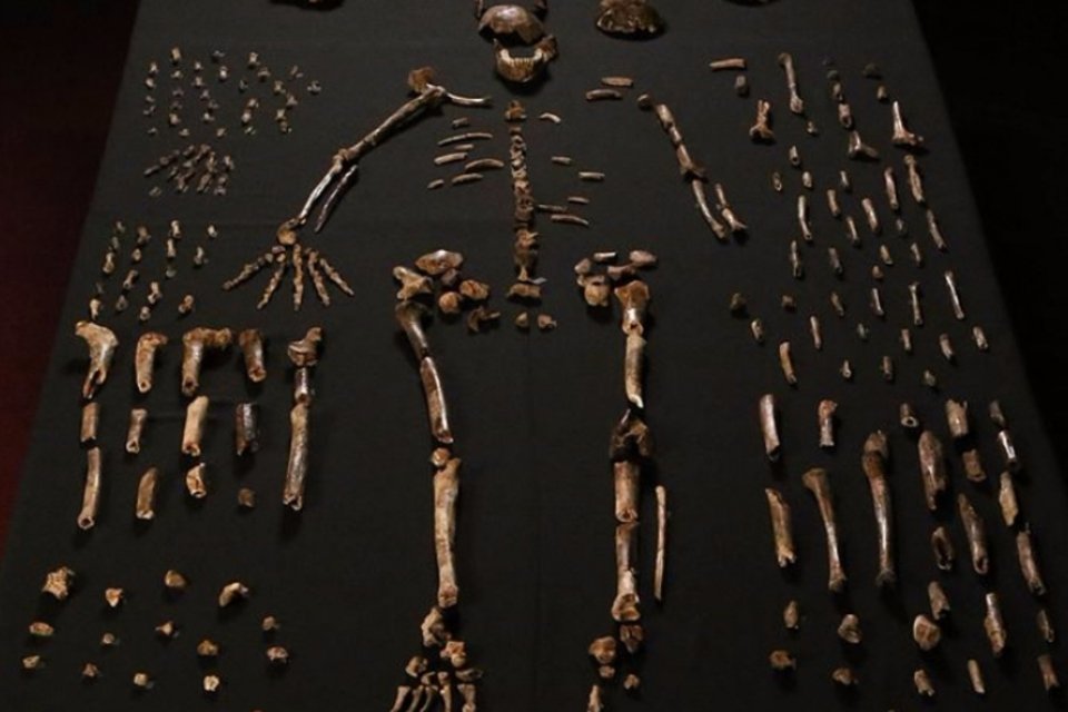 'Homo naledi', primo distante do homem cheio de trunfos