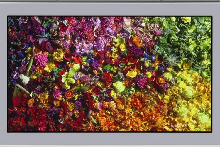 Display 8K de 17 polegadas é anunciado pela Japan Display (Reprodução / NHK)