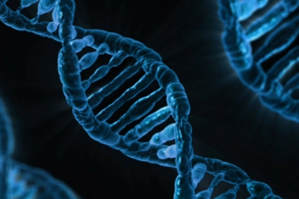 Trio vence Nobel de Química por pesquisas sobre reparação do DNA