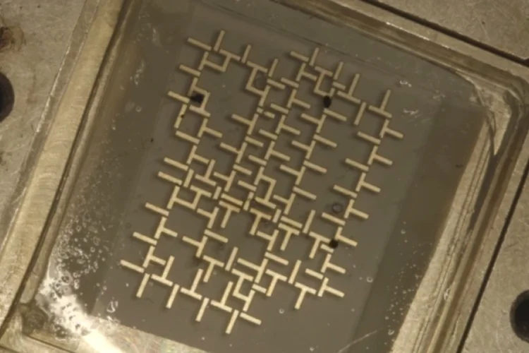chip (Divulgação)