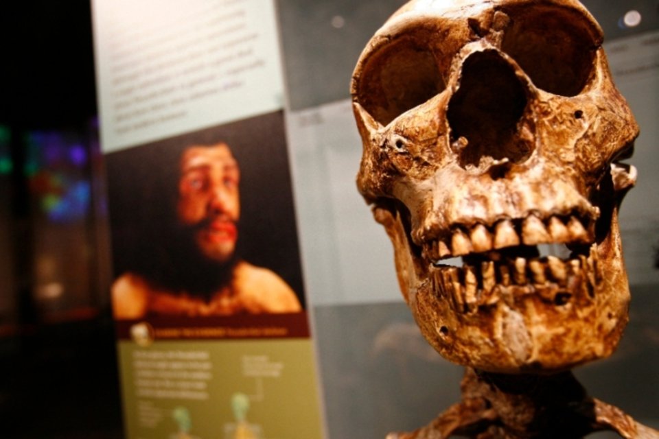 Homo sapiens saiu da África antes do que se pensava