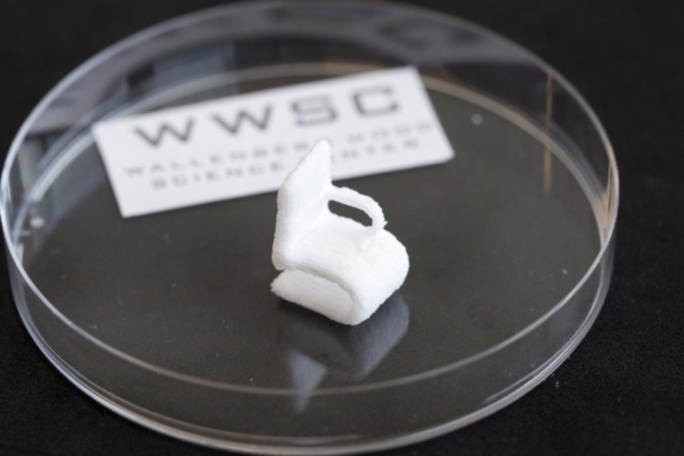 Pesquisadores da Suécia realizam a primeira impressão em 3D feita de celulose