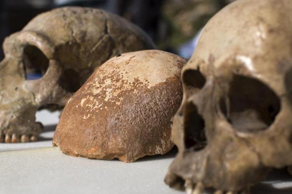 Primeiros humanos modernos tiveram parentes neandertais próximos