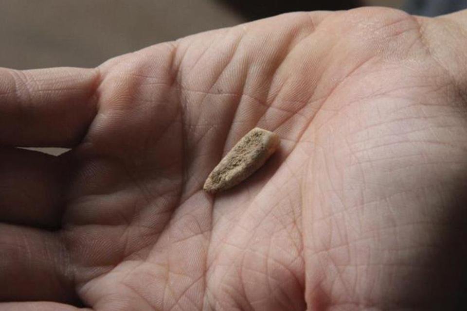 Encontrado dente humano de 560 mil anos no interior da França