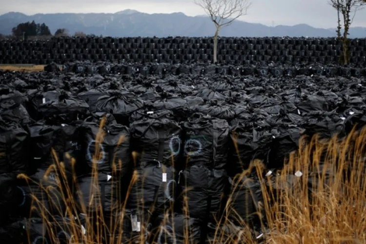 fukushima (Reuters)