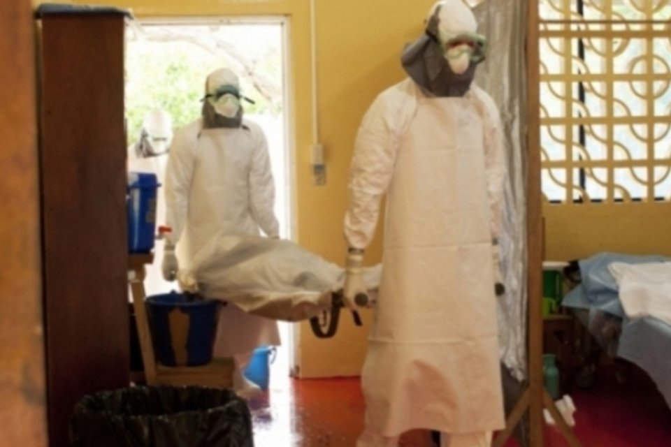 Nova vacina experimental contra Ebola é eficaz em macacos