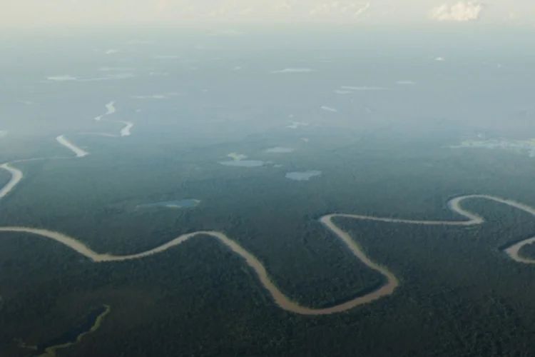 amazonia (Reuters)