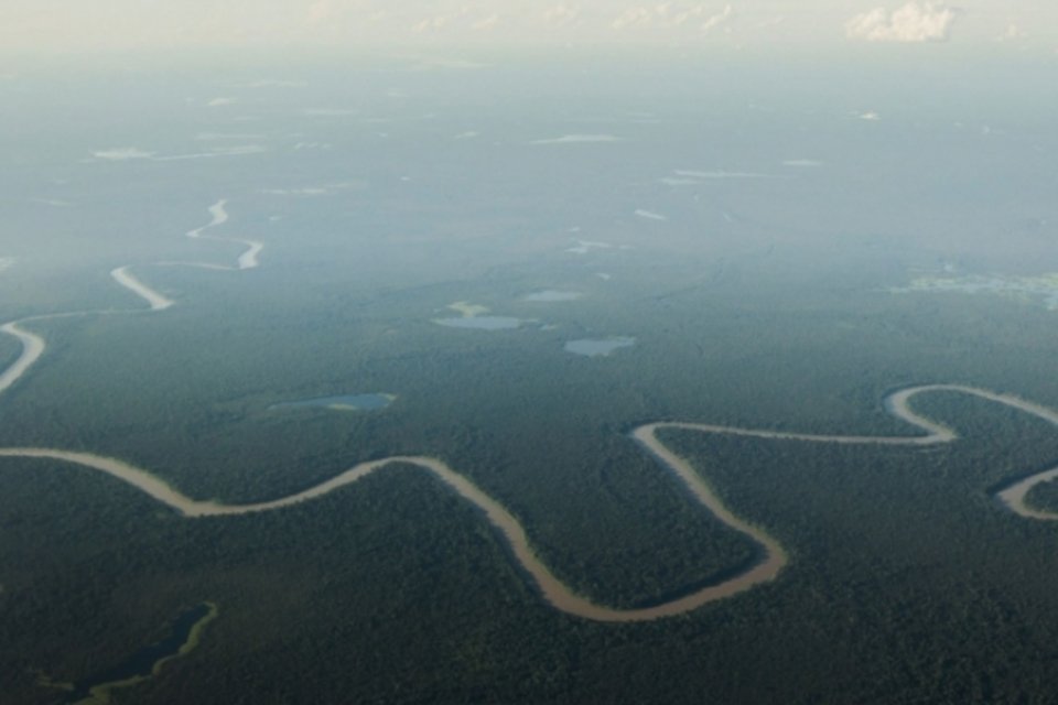 Árvores da Amazônia absorvem menos carbono durante as secas, revela pesquisa