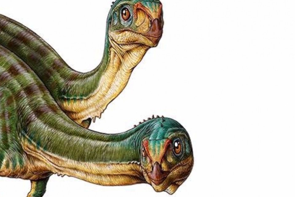 Descoberto no Chile um dos dinossauros mais bizarros já encontrados
