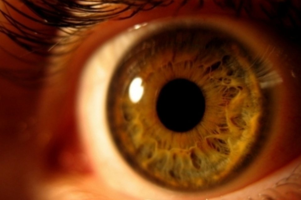 Cientistas descobrem componente importante para a formação dos olhos humanos