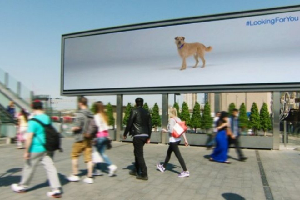 Cães virtuais presos em outdoor seguem pessoas em campanha de adoção high-tech