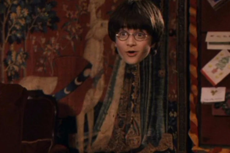 harry potter (Reprodução)