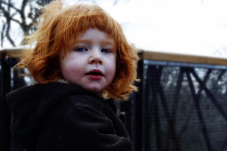 ginger (flickr/Doug88888)