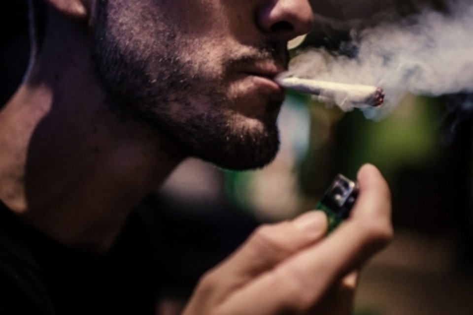 Clubes "canábicos" preparam primeiras colheitas de maconha legal no Uruguai