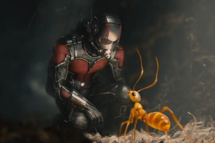 homem-formiga1 (Divulgação)