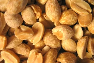 Imagem referente à matéria: Amendoim avança no Brasil com pesquisa, atrai produtores em SP e bate recorde de produção