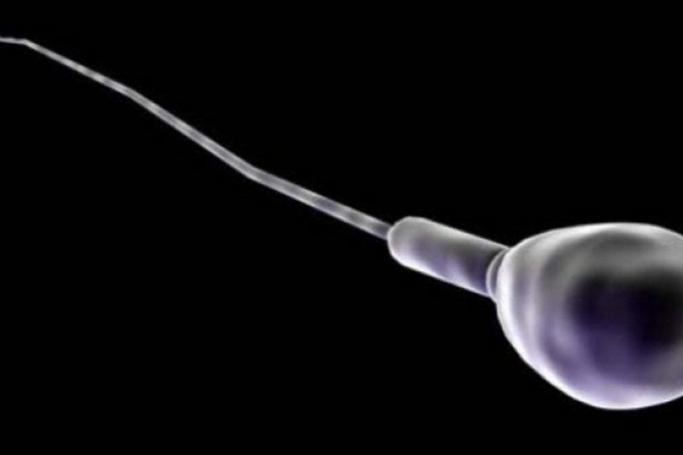 Cientistas franceses dizem ter criado primeiro espermatozoide humano em laboratório