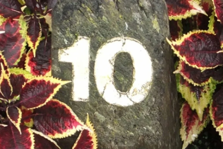 Os 10 apps mais legais da semana (Lee J Haywood)