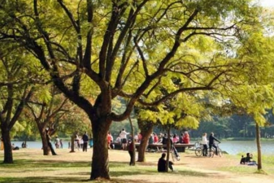 As 20 cidades mais verdes de São Paulo