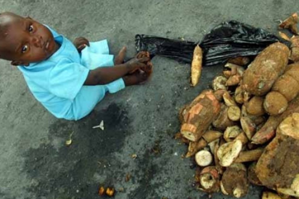 13 números chocantes do desperdício de comida no mundo