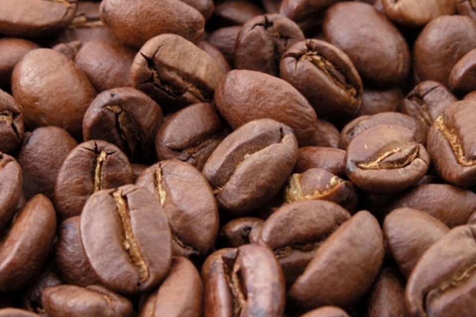 Brasileiros descobrem proteína do café com efeito de morfina