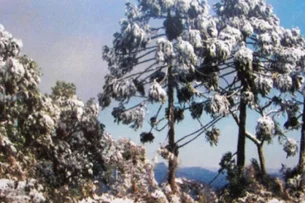 Primeira neve do ano anima moradores das serras do Sul; veja a previsão para os próximos dias