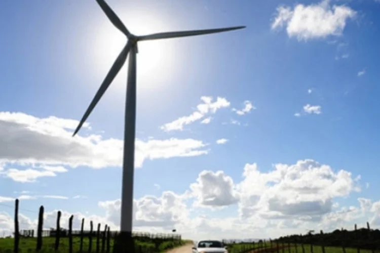 Futuro: um parque eólico tem vida útil de 20 a 25 anos e seus impactos cumulativos podem levar à extinção local de populações de morcegos (GERMANO LUDERS/Exame)
