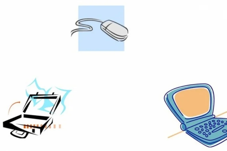Clip Art (Reprodução)