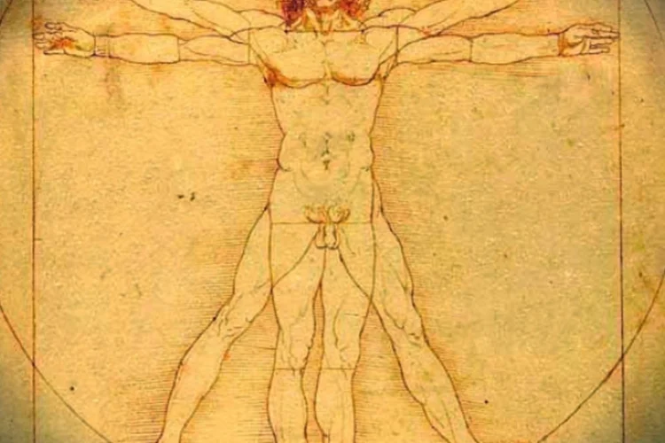 Antropologia (Wikimedia Commons)