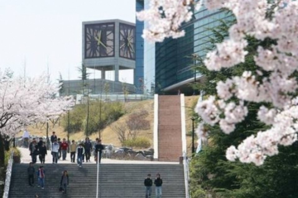 As universidades que têm tudo para ser como Harvard um dia