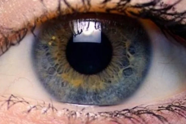 Olhos (Laitr Keiows / Wikimedia Commons)