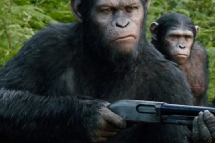 Planeta dos Macacos: O Confronto  (Divulgação / Fox)