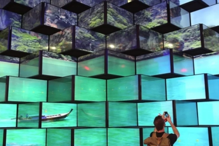 IFA 2014 (Getty Images)