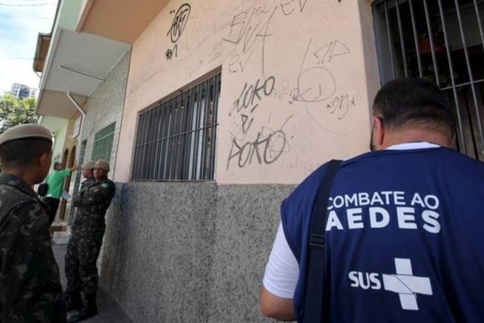 Para OMS, programas de combate ao Aedes entraram em colapso